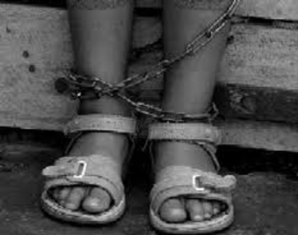 Primer proceso judicial