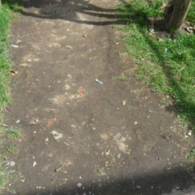 Timeline: Crecimiento de una planta