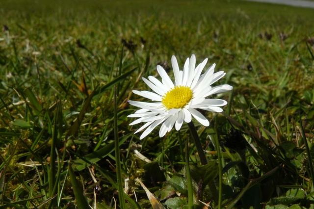 Je rentre en Premiere