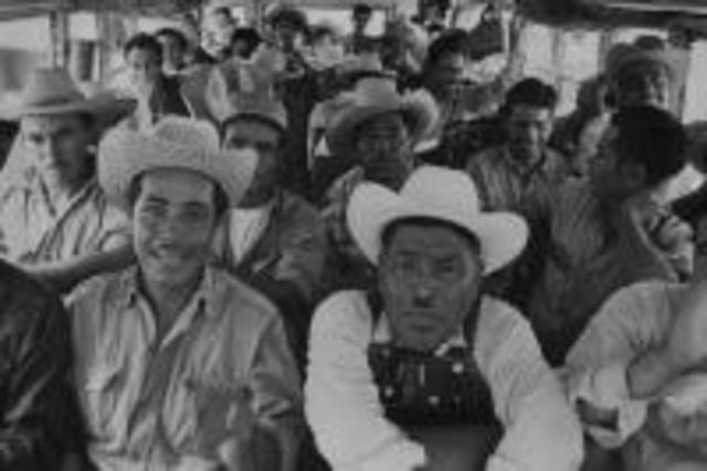 Bracero Program