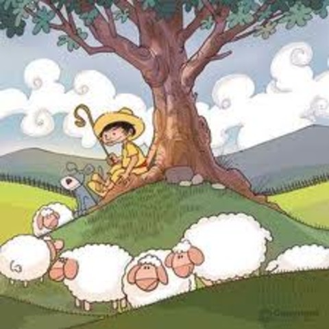 FUGA A LA CIUDAD DE OAXACA