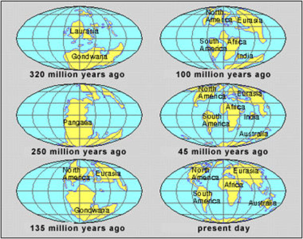 argument des idées de Franck B. Taylor