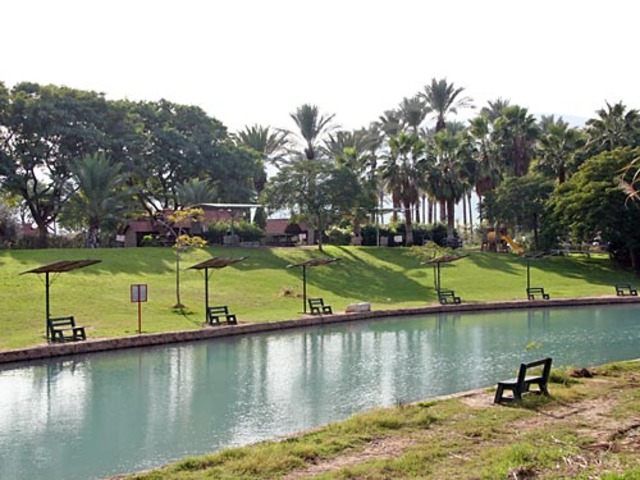 רויטל מהלך מהנה במהלך המבצע