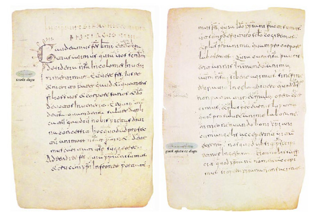 Errioxako lekukotasunak