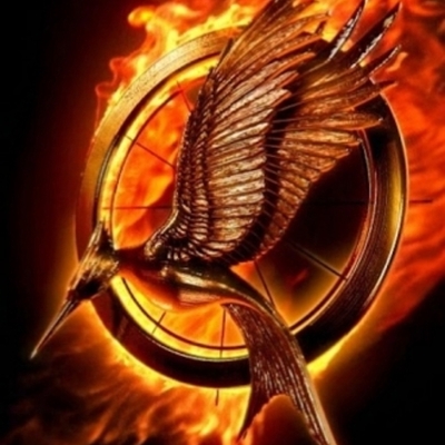 Timeline: Catching Fire by Suzanne Collins (391)