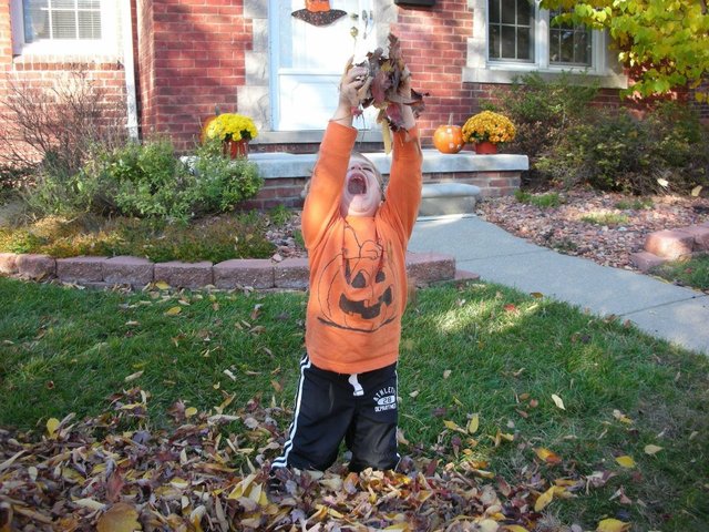 Ein schöner Herbsttag!