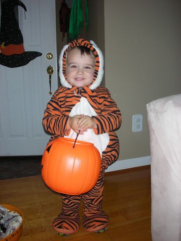 Der kleine Tiger ist so süß! Aber wo ist die Tigerente?