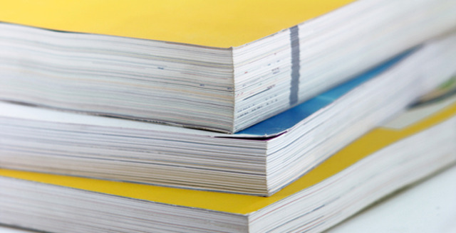 Rapport du Groupe de travail parlementaire de députés SRC (social radical citoyen).