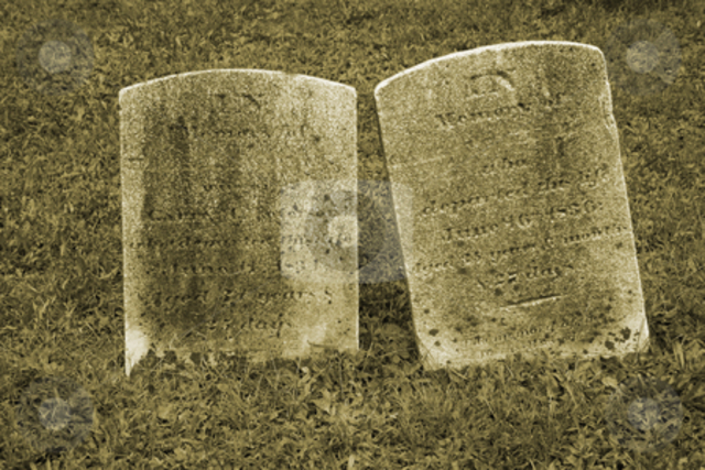 Jack and Bam are killed and Ed is wounded trying get to Jack's house.