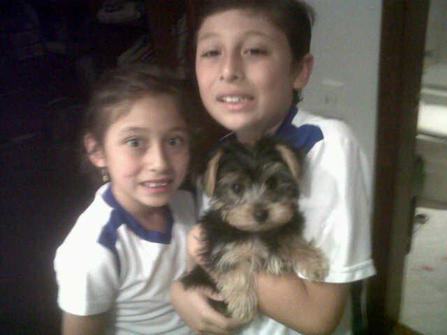 My doggy Einstein arrives home!!!!!