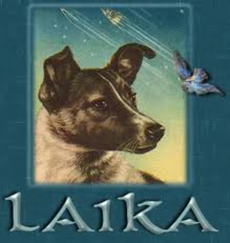 1st mammal in orbit;Laika(dog)USSR