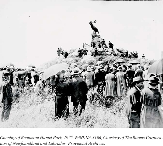 Battle of Beaumont Hamel Poorly Planned British Oftensive
