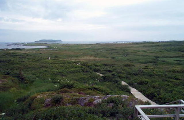 James West Davidson and Michael B. Stoff, The American Nation (Englewood Cliffs, NJ: Prentice Hall, 1995), 54.