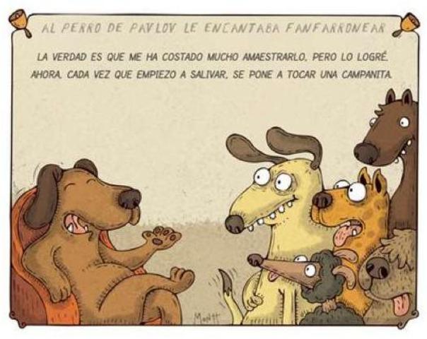 experimentos con animales