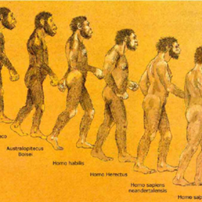 Timeline: CRONOLOGIA DE LOS HOMINIDOS