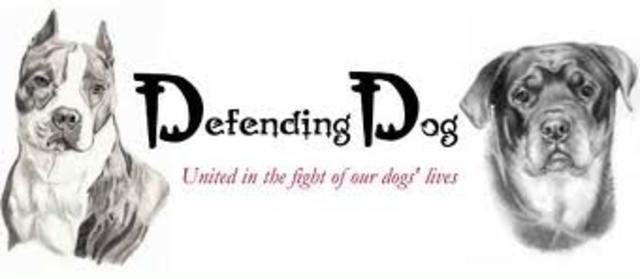 breed ban in United Kingdom proved unnafecting