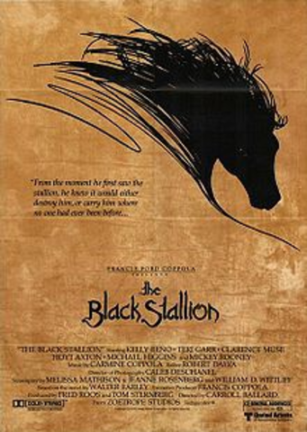 The Black Stallion