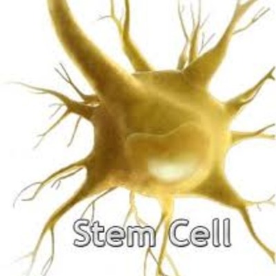 Timeline: The History of Stem Cells