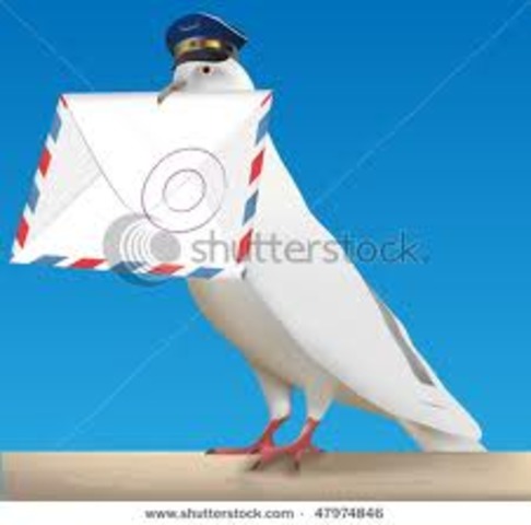 carrier pigeons