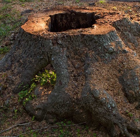 death of grandfather