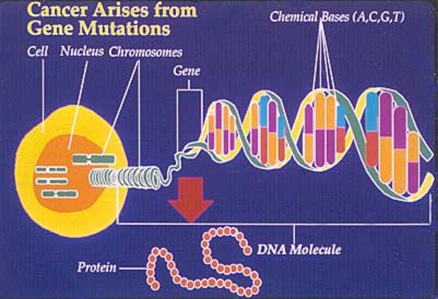 The Cancer Genome Atlas (TCGA) Project Started