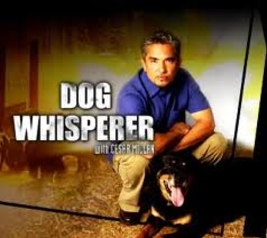 First episode of "Dog Whisperer"