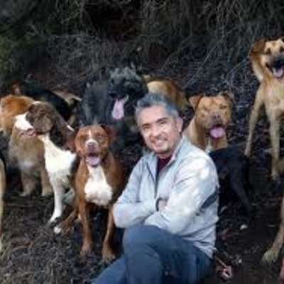 Timeline: Cesar Millan