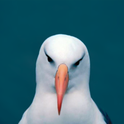 Timeline: Solar Power