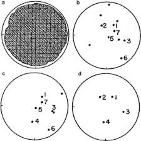 Prueba de la fluctuación par explicar la resistencia a antibióticos