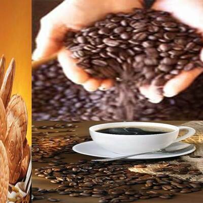 Timeline: deli coffee tasolart