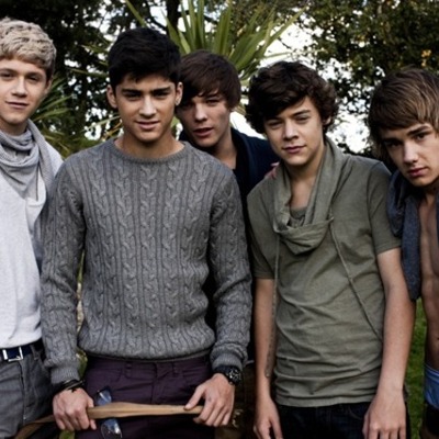 Timeline: One Direction