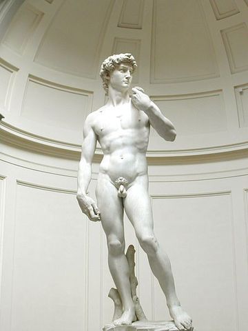 Michelangelo begins to work on statue of David