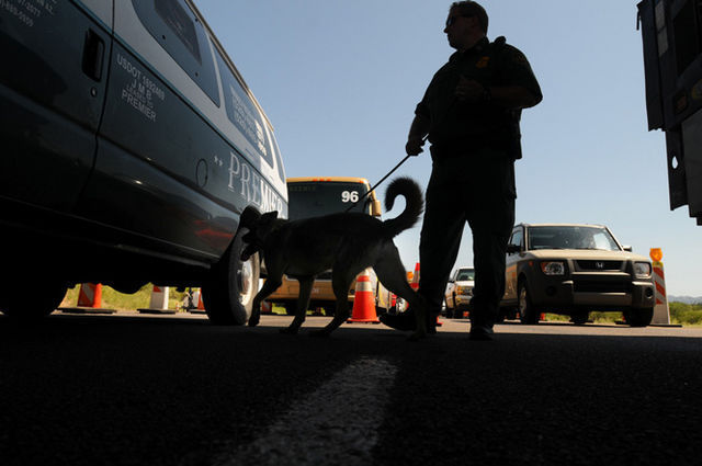 Explosive residue found in trunk of two other Algerians