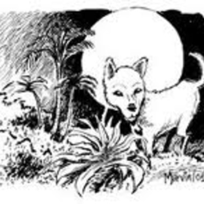 Timeline: La Leyenda de los cadejos