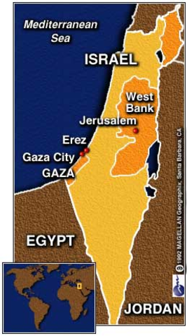 Formation of the PLO