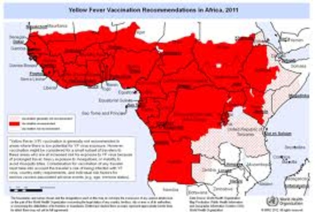 Africa's Time With the Fever
