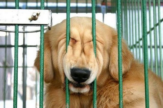 Day 2 at the store. Rising Action