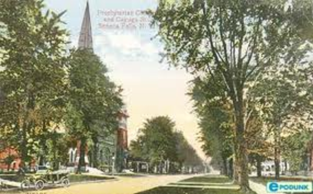 elizabeth and henry move to seneca falls