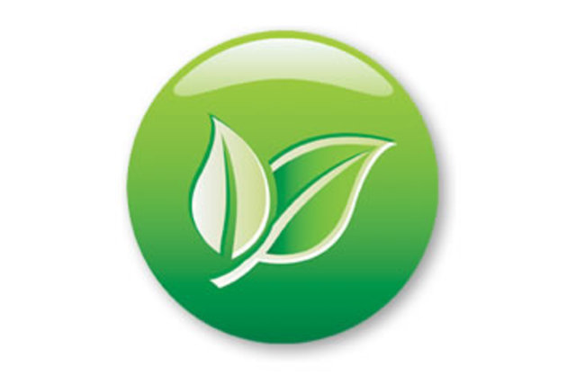 Commitment to "Green Element"