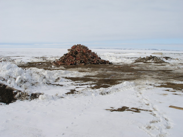 Vote pour l’élimination des rejets de déchets dans l’océan