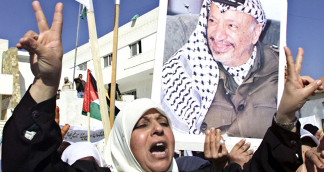 Formation of the PLO