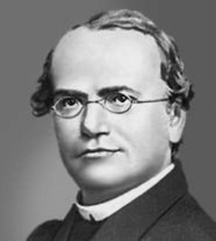 Законы Менделя