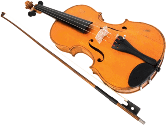 Start of Complex Education