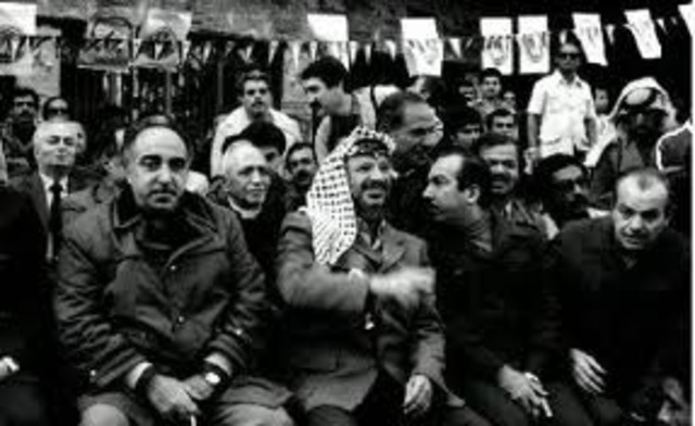 Formation of the PLO