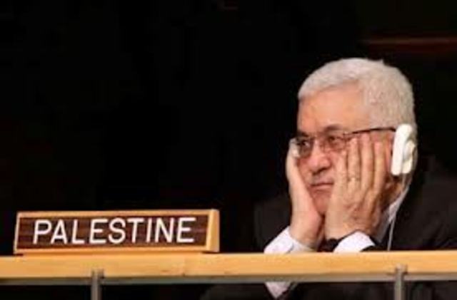 Formation of the PLO