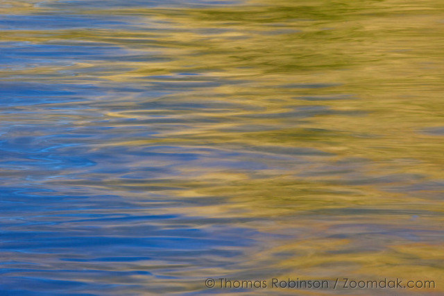 Official colors adopted; Alabama F.F.A. founded as 36th state charter