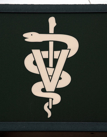 Mark leaves the farm