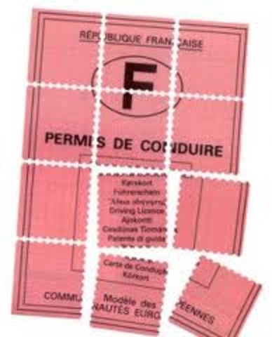 Permis à point