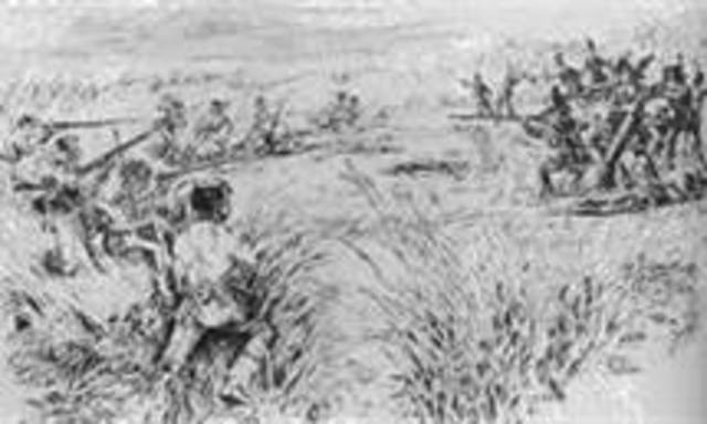 Battle of Burnt Corn