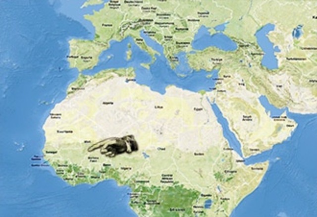 when René started to traveled